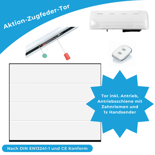 Aktion Garagentor V-Sicke inkl. Antrieb