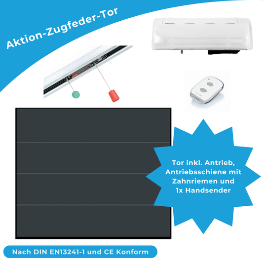 Aktion Garagentor L-Sicke Glatt inkl. Antrieb