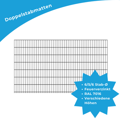 Doppelstabmatte 6/5/6mm